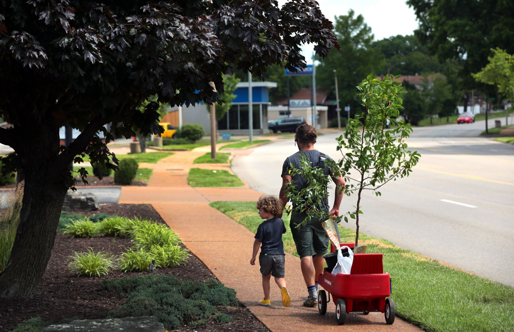 Lack of staff, rising costs bring Bayer's nurseries to closure